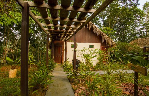 amazon-turtle-lodge-1